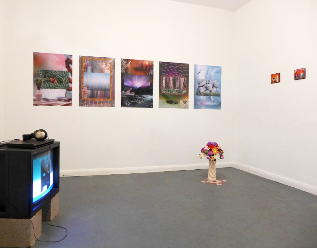 Clockwise: Leonardo, 2011; Clown Fish.jpg, Horizon.jpg, Aurora.jpg, Redwoods.jpg, Rocks.jpg, 2013; Flowers (Arrangement), 2013