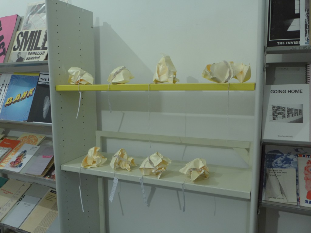 Prototype of the Museum of Vestigial Desire shop, 2013